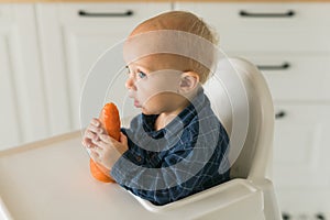 Happy baby sitting in high chair eating carrot in kitchen copy space. Healthy nutrition for kids. Bio carrot as first