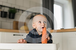 Happy baby sitting in high chair eating carrot in kitchen. Healthy nutrition for kids. Bio carrot as first solid food