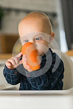 Happy baby sitting in high chair eating carrot in kitchen . Healthy nutrition for kids. Bio carrot as first solid food