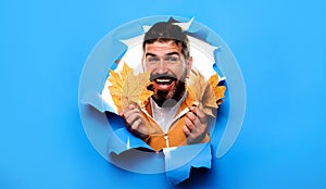 Happy bearded man looking through paper hole with autumn leaves. Autumn clothes collection. Smiling man in warm clothes
