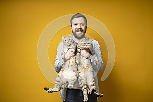 Happy bearded owner hugs his two cute cats, one of them is watching with interest, the other is angry. Concept of love