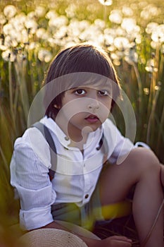 Happy a beautiful boy child sit on a field with white dandelions at sunset in summer.