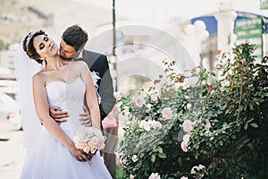 Happy and beautiful bride and groom kissing
