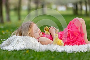 Happy beautiful child, kid, playing with beautiful ducklings or goslings, cute fluffy yellow animal birds