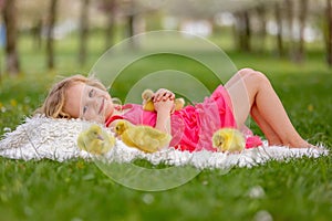 Happy beautiful child, kid, playing with beautiful ducklings or goslings, cute fluffy yellow animal birds