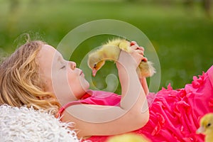 Happy beautiful child, kid, playing with beautiful ducklings or goslings, cute fluffy yellow animal birds