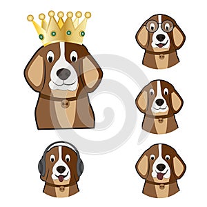 Happy beautiful kiddish funny dog with crown
