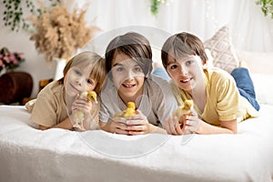 Happy beautiful kids, playing with small beautiful ducklings, cute fluffy animal birds