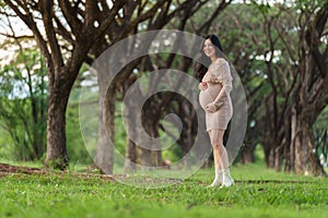 Happy beautiful pregnant woman stroking her belly in the park