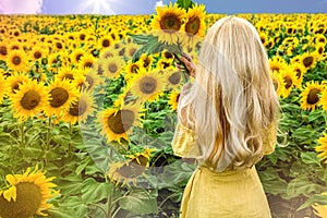 A happy, beautiful young girl in a yellow dress is standing in a large field of sunflowers. Summer time. Back view