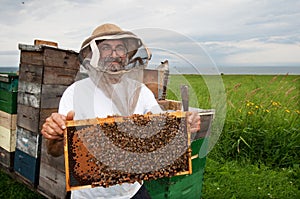 Happy beekeeper photo