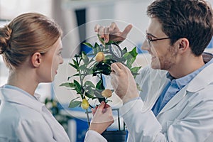 Biologists with magnifying glass and plant photo