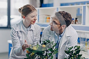 Biologists in white coats with lemon plants photo