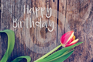 Happy Birthday: Arrangement of colorful tulips on a rustic wooden table, â€œHappy Birthday