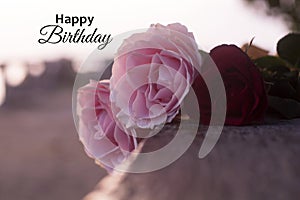 Happy Birthday. Birthday card and greeting with soft bouquet of pink roses background. Birthday backgrounds with spring flowers.