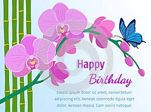 Happy birthday card with pink orchid on blue background. Vector.