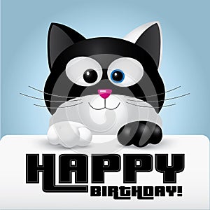 Happy birthday greeting card held by a cute black and white cat
