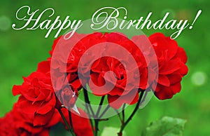 Happy birthday red roses postcard