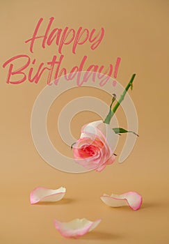 HAPPY BIRTHDAY text Flying Delicate pink rose on beige background. Minimal trendy composition. Romantic pastel