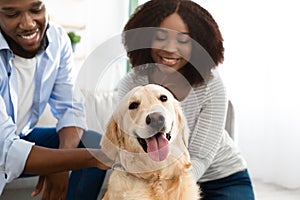 Happy black couple playing with their pet at home