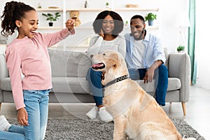 Happy black girl giving treat to her labrador