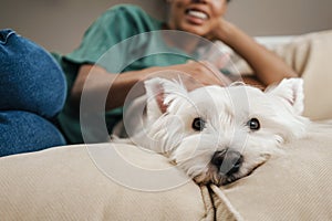 Happy black woman stroking her dog while resting on sofa