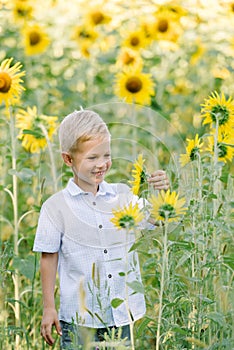 Happy blond boy in a shirt on sunflower field outdoors. Life style, summer time, real emotions