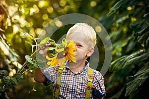 Happy blond boy in a shirt on sunflower field outdoors. Life style, summer time, real emotions