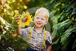 Happy blond boy in a shirt on sunflower field outdoors. Life style, summer time, real emotions