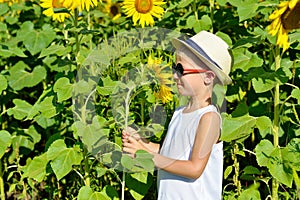 Happy blond boy in sun glasses and hat with sunflower on field outdoors