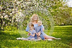 A happy blonde family, a chubby mom and two kids a boy and a girl in a blooming spring apple orchard on a spring picnic