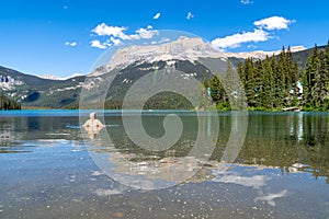 Happy blonde woman wades and swims in Emerald Lake in Yoho National Park, British Columbia on a sunny summer day