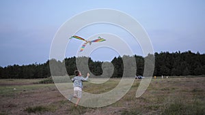 Happy boy, active male child runs in meadow with kite during weekend in forest against background of trees and sky