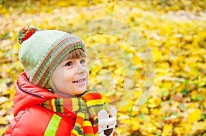 Happy boy in autumn park