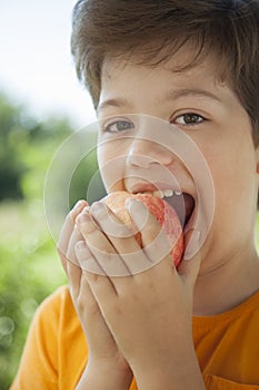 Happy boy biting the apple, A child with a fruit. Kid eating fresh pear