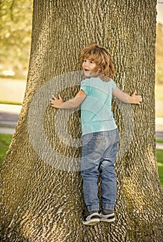 Happy boy child climb tree summer outdoors, boyhood