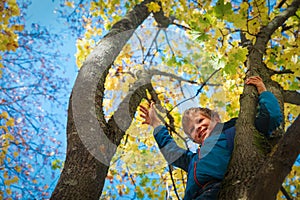 Happy boy climbing tree in fall, seasonal fun for kids