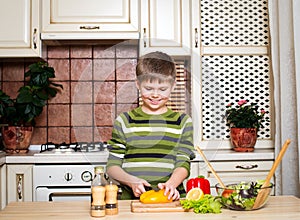 Feliz chico verdura ensalada en La cocina 