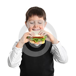 Happy boy eating sandwich on white. Healthy food for school lunch