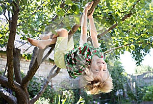 Happy boy enjoying a summer day in the garden, cheerfully climbing a tree and hanging upside down from a branch