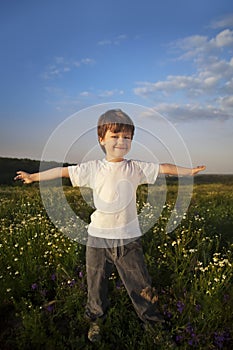 Happy boy on green field