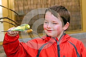 Happy boy holding and feeding parakeet