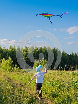 Happy boy with a kite running in a meadow in summer in nature.