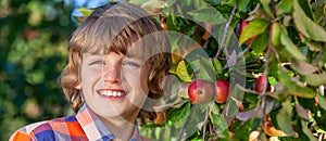 Happy Boy Male Child Smiling in an Apple Orchard Panorama