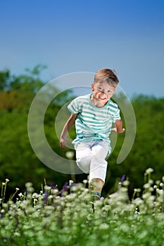 Happy boy on meadow