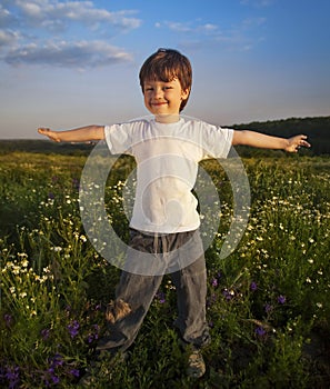 happy boy outstretched arms on green summer field