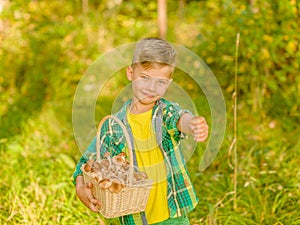 Happy boy picking mushrooms in autumn forest