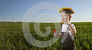 Happy Boy play in bubbles in field sunny summer day