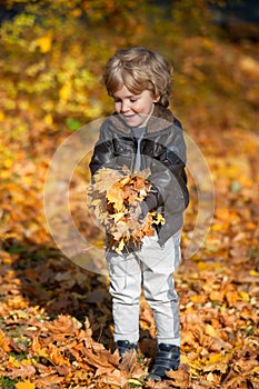 Happy boy playing with autumn leaves.