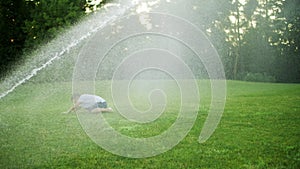 Happy boy playing with water sprinkler in field. Positive guy jumping in air